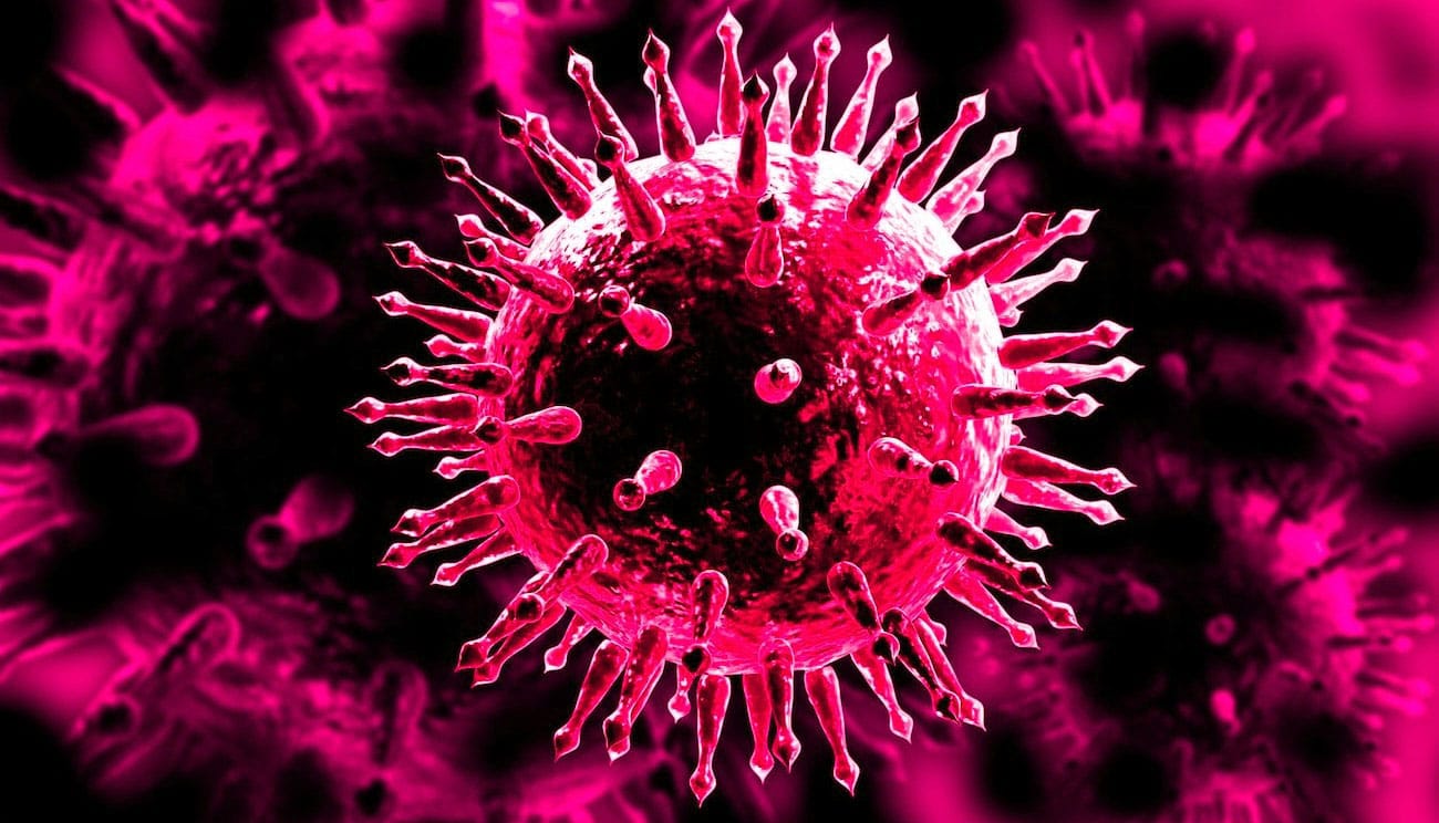 virus